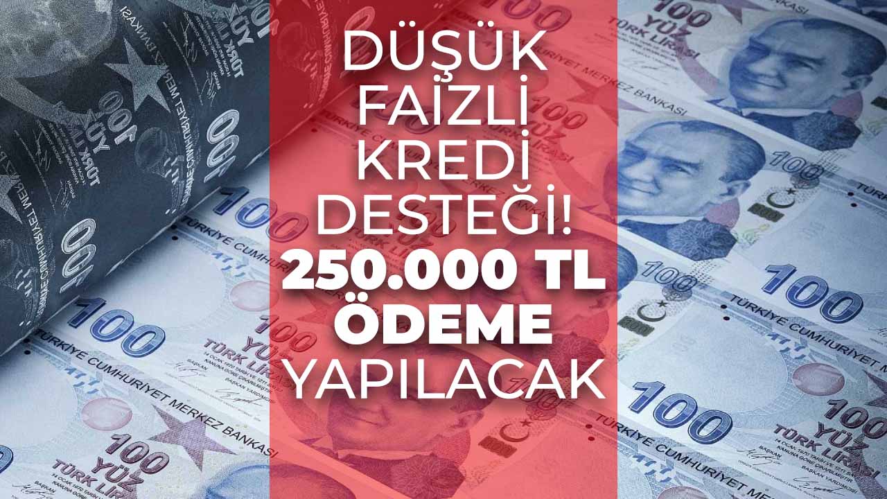 Halkbank'tan 36 ay vadeyle 250.000 TL kredi desteği!