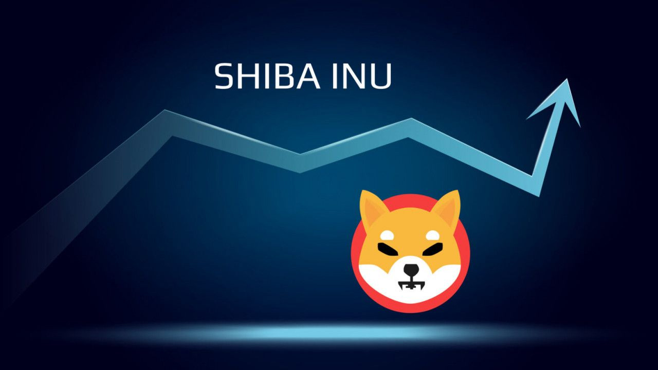 Shiba Inu yanma oranı yüzde 910 artış gösterdi!