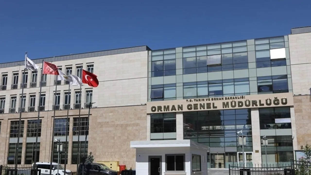 Orman Genel Müdürlüğü 9.500 TL maaşla 249 personel alacak