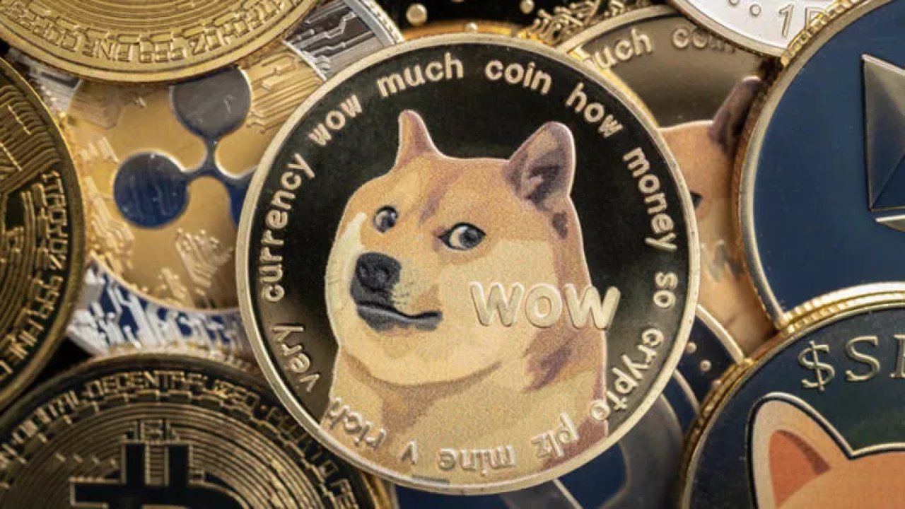 Dogecoin Logosundaki Köpekten Üzücü Haber! Kabosu İsimli Köpeğe Ne Oldu?