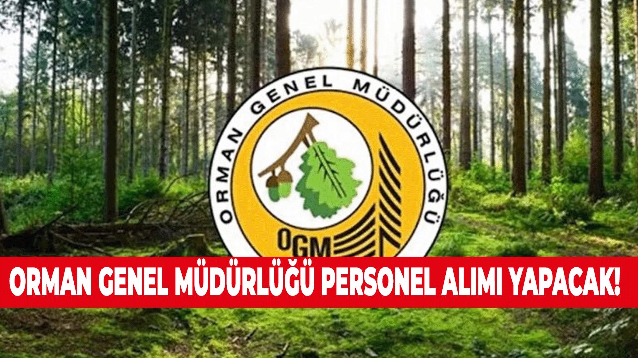 Orman Genel Müdürlüğü Personel Alımı Yapacak! 6 Şubat Tarihine Kadar Başvurmayı Unutmayın