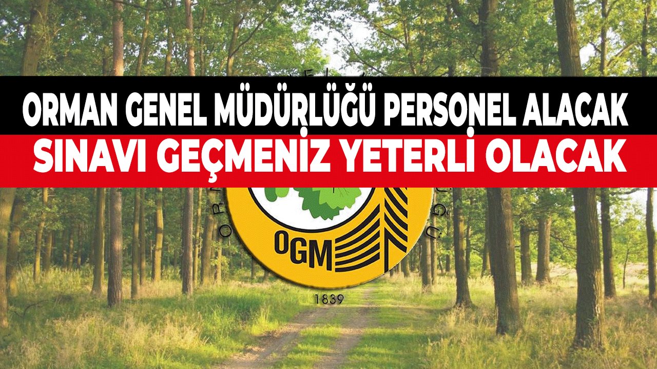 Orman Genel Müdürlüğü Personel Alım İlanı Yayımladı! Sınavı Geçmeniz Yeterli Olacak