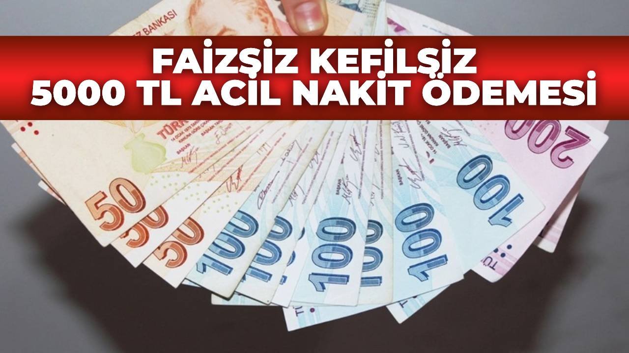 Paraya Sıkışanlar İçin Faizsiz Nakit Müjdesi! Kredi İhtiyacınız Varsa Hemen Başvurun!