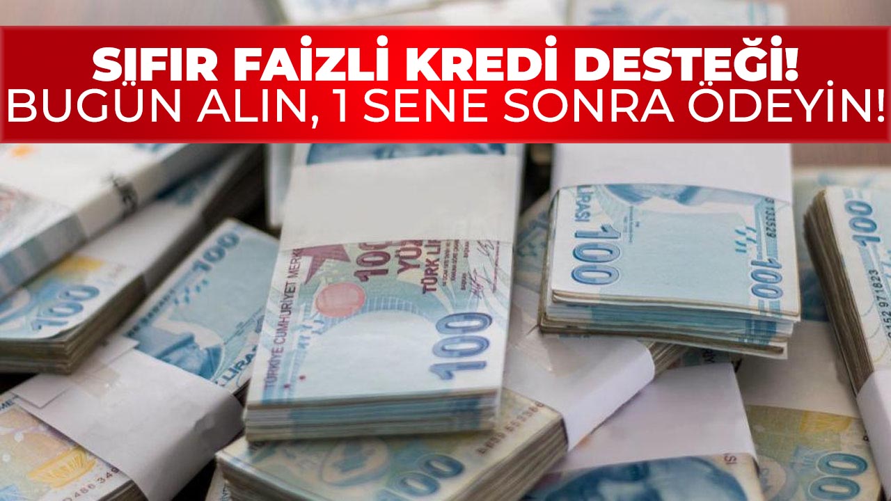 0 faizli 150.000 TL kredi desteği! Parayı bugün alın, ödemeyi 1 sene sonra yapın!