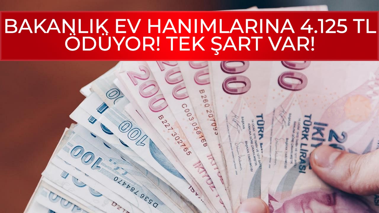 Aile Bakanlığı tek şartla ev hanımlarına 4.125 TL para yardımı yapıyor