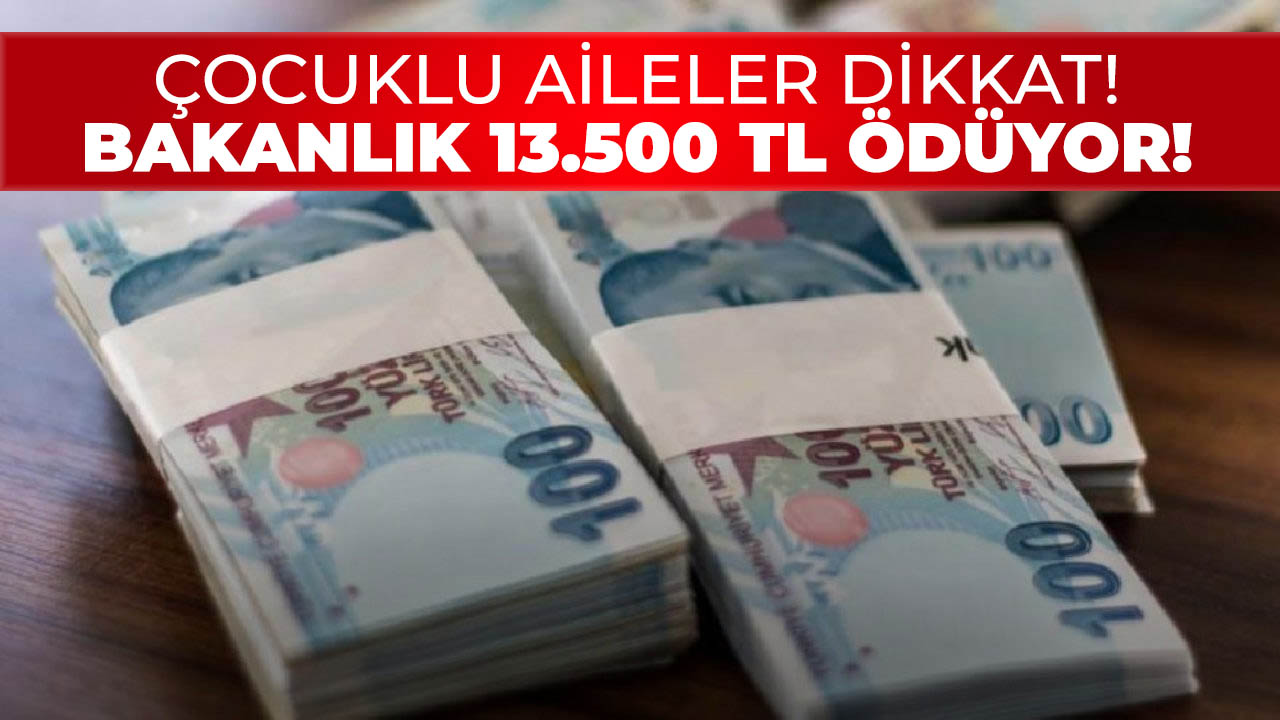 Bakanlık çocuklu ailelere 13.500 TL para yardımı yapıyor! e-Devlet'ten hemen başvurun!