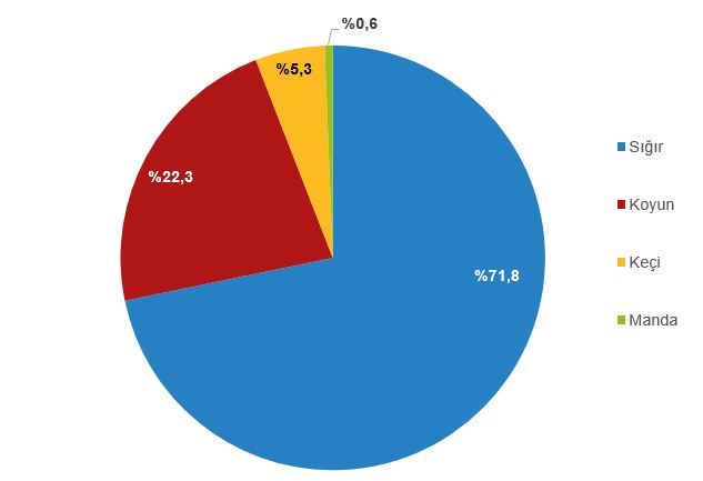 2022'de Kırmızı Et Üretiminde Yüzde 12,3 Artış