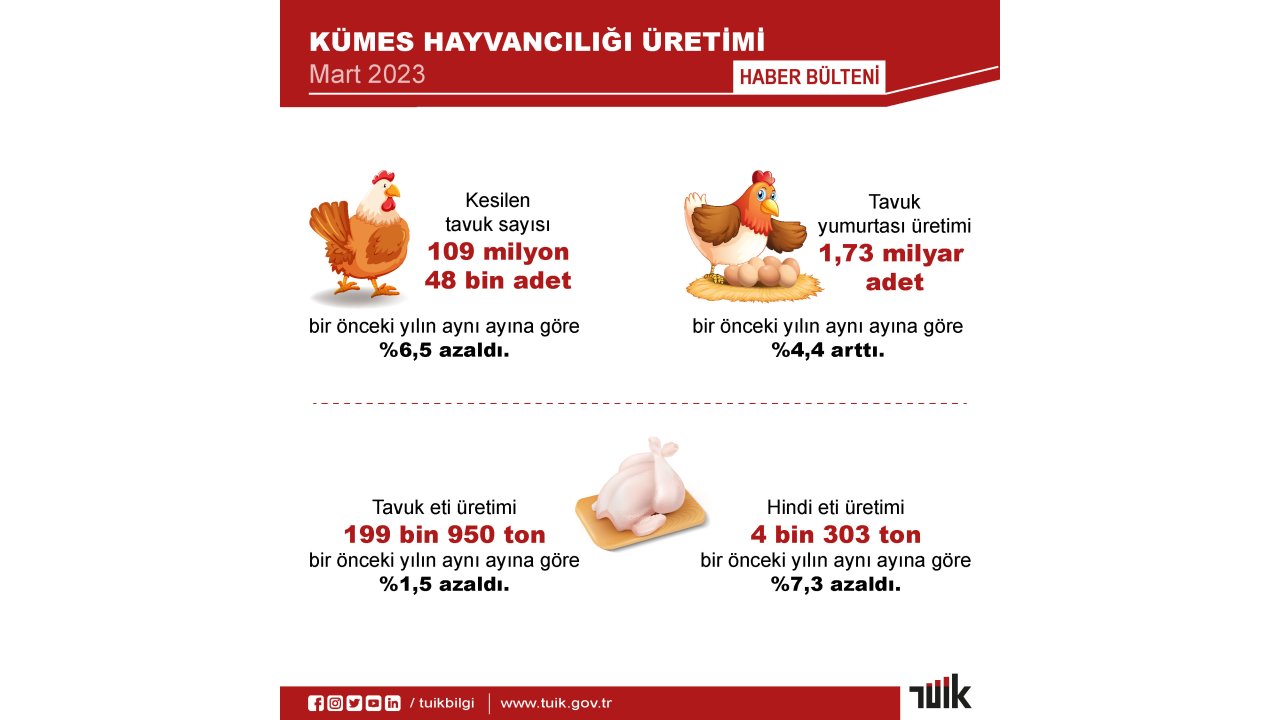 Tüik: Martta Yumurta Ve İçme Sütü Üretimi Arttı, Tavuk Eti Üretimi Azaldı