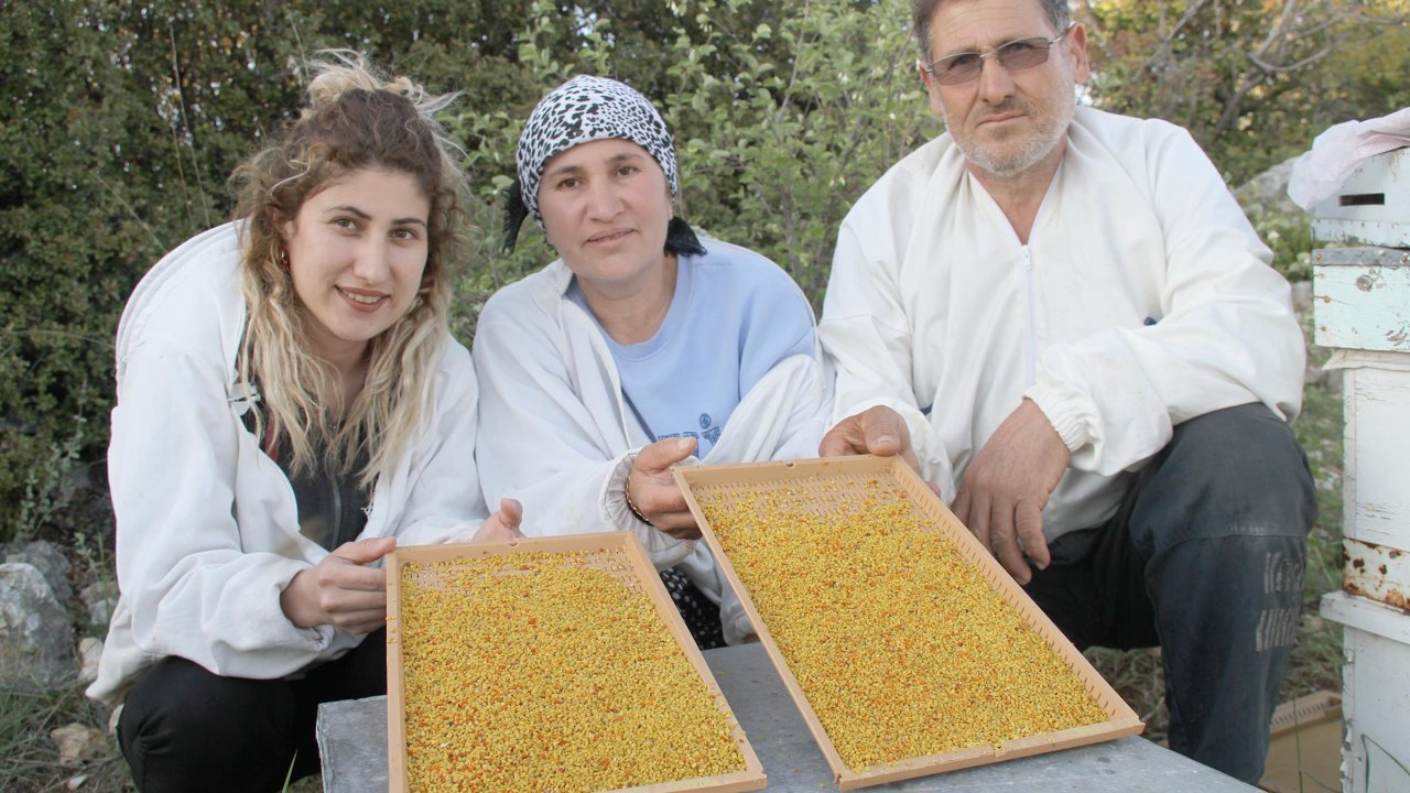 100 Ton Üretimin Olduğu Mersin'de Polenin Kilosu 300 Lira