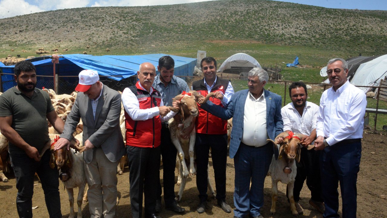 Depremde Telef Olan 43 Bin 618 Küçükbaş Hayvanın Dağıtımı Kahramanmaraş'ta Başladı