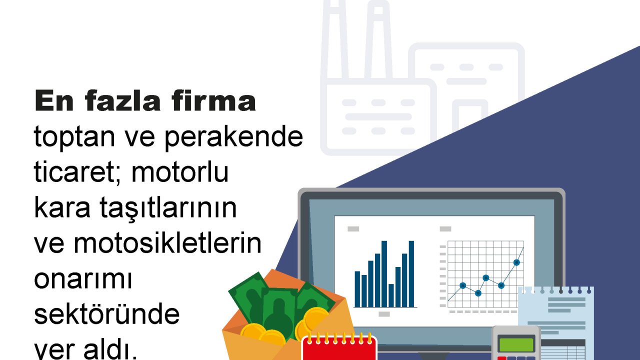 En Fazla Firma Toptan Ve Perakende Ticaret; Motorlu Taşıtlarının Ve Motosikletlerin Onarımı Sektöründe