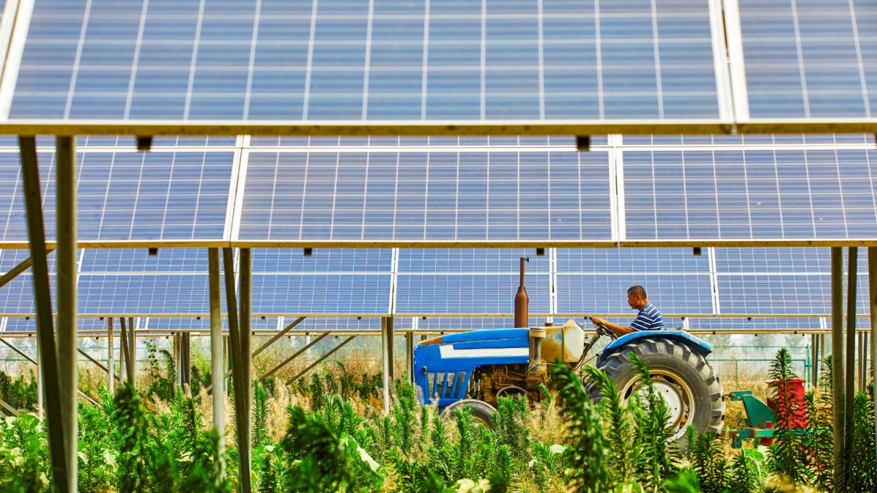 Tarıma Entegre Fotovoltaik Sistemlerle Çiftçiler Hem Enerji Hem Ürün Kazanacak