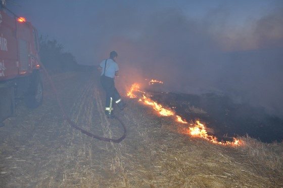 Kulu'da Yüksek Gerilim Kazası: Kuşların Sebep Olduğu Anız Yangını Kontrol Altına Alındı