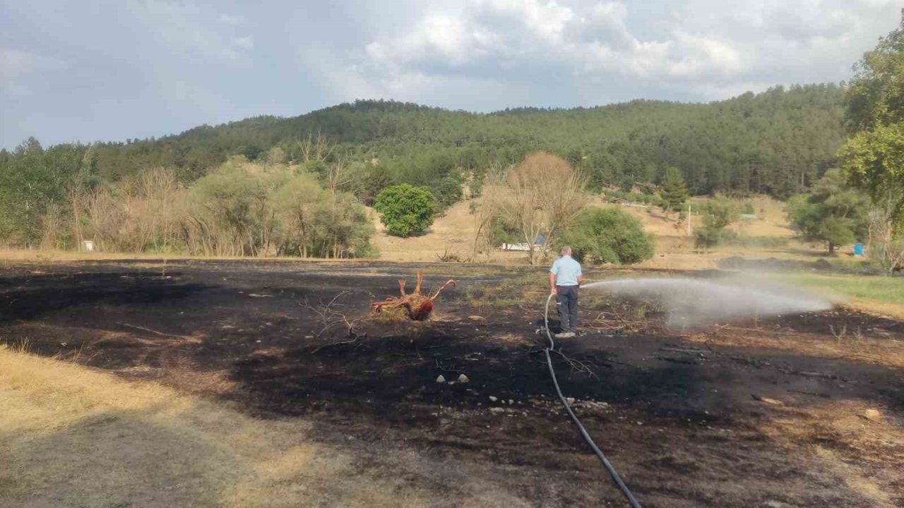 Kütahya'nın Emet İlçesinde Mangal Ateşinden Çıkan Yangın 2 Dönüm Ekili Alanı Kül Etti