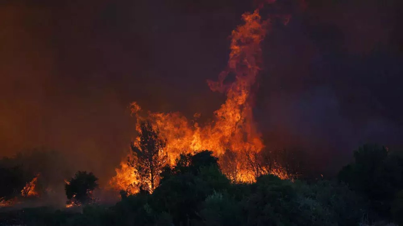 İzmir'de Orman Yangını: Müdahale Sürüyor